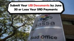 June 30 Deadline: Submit UBI Documents to SASSA or Lose SRD Payments – Final Reverification Call