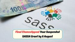 SASSA to Fully Stop Cash Payouts by December 2025 – All Grant Payments Moving to Digital Channels